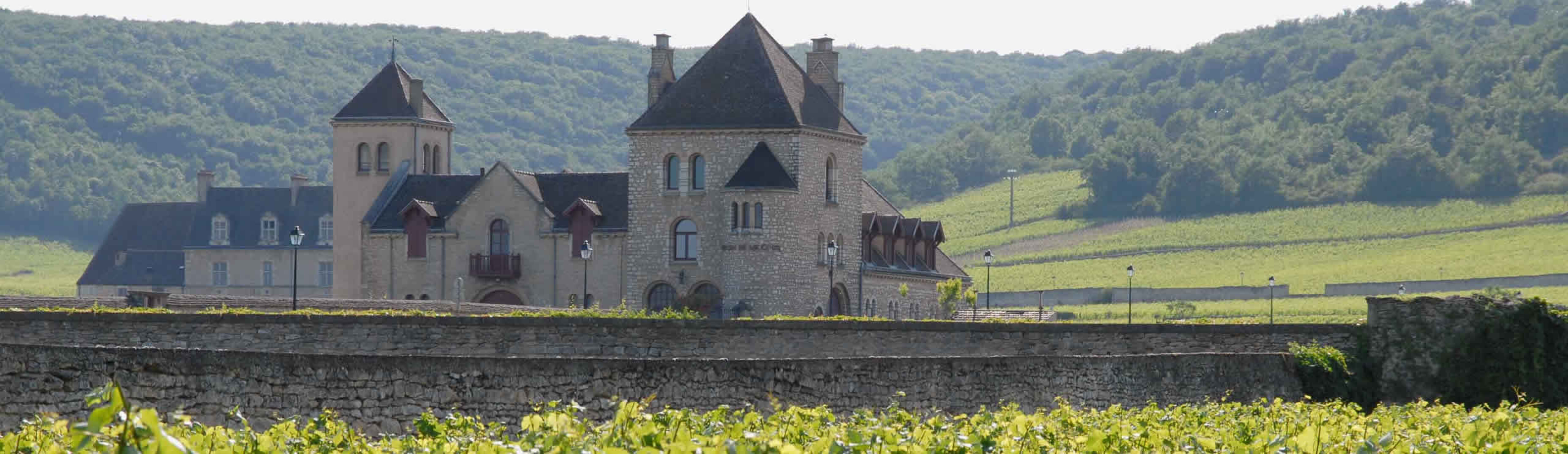 Weingut im Burgund