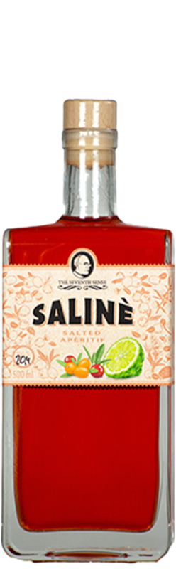 Salinè - The Seventh Sense 50cl