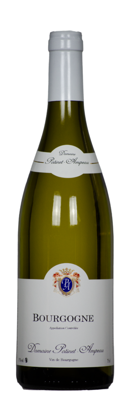 Bourgogne Blanc AC, Domaine Potinet-Ampeau