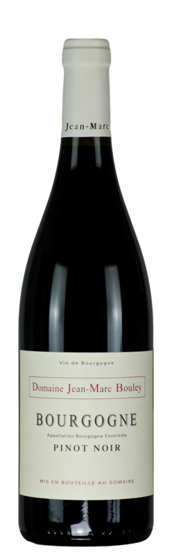 Bourgogne Pinot Noir Côte d'Or AC, Domaine Jean-Marc Bouley