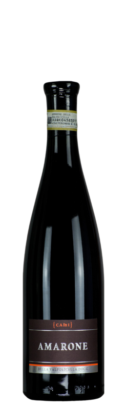 Amarone della Valpolicella DOC, CAMI