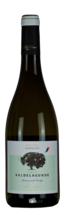 Finca Valdelagunde Verdejo VdT, Bodegas Pedro Escudero